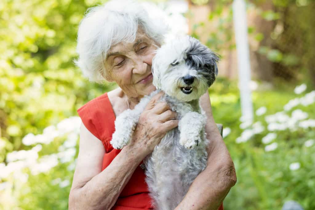 beautiful senior woman with her dog in a blooming summer garden